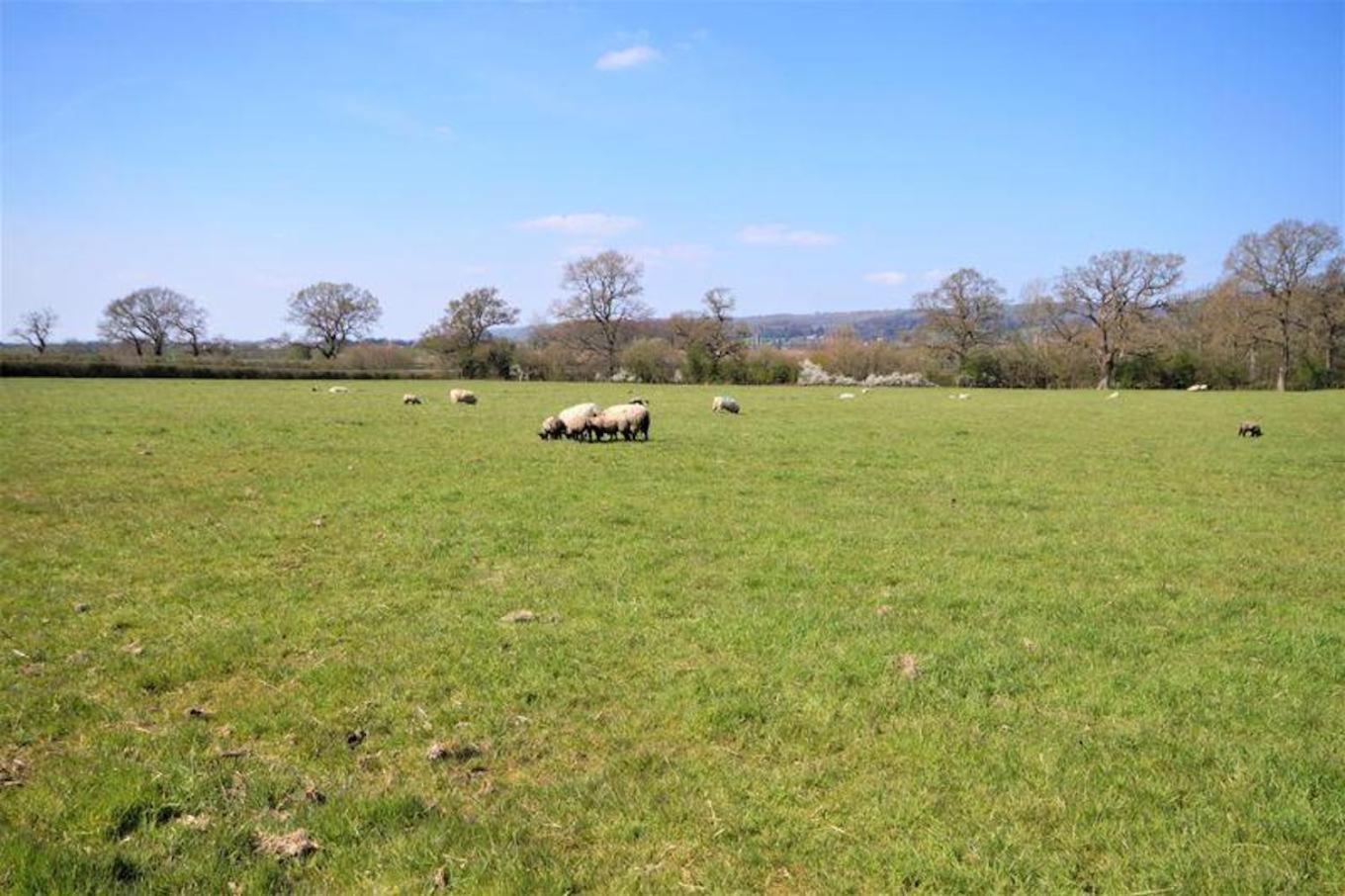 Luxury Barn Conversion Wells Luaran gambar