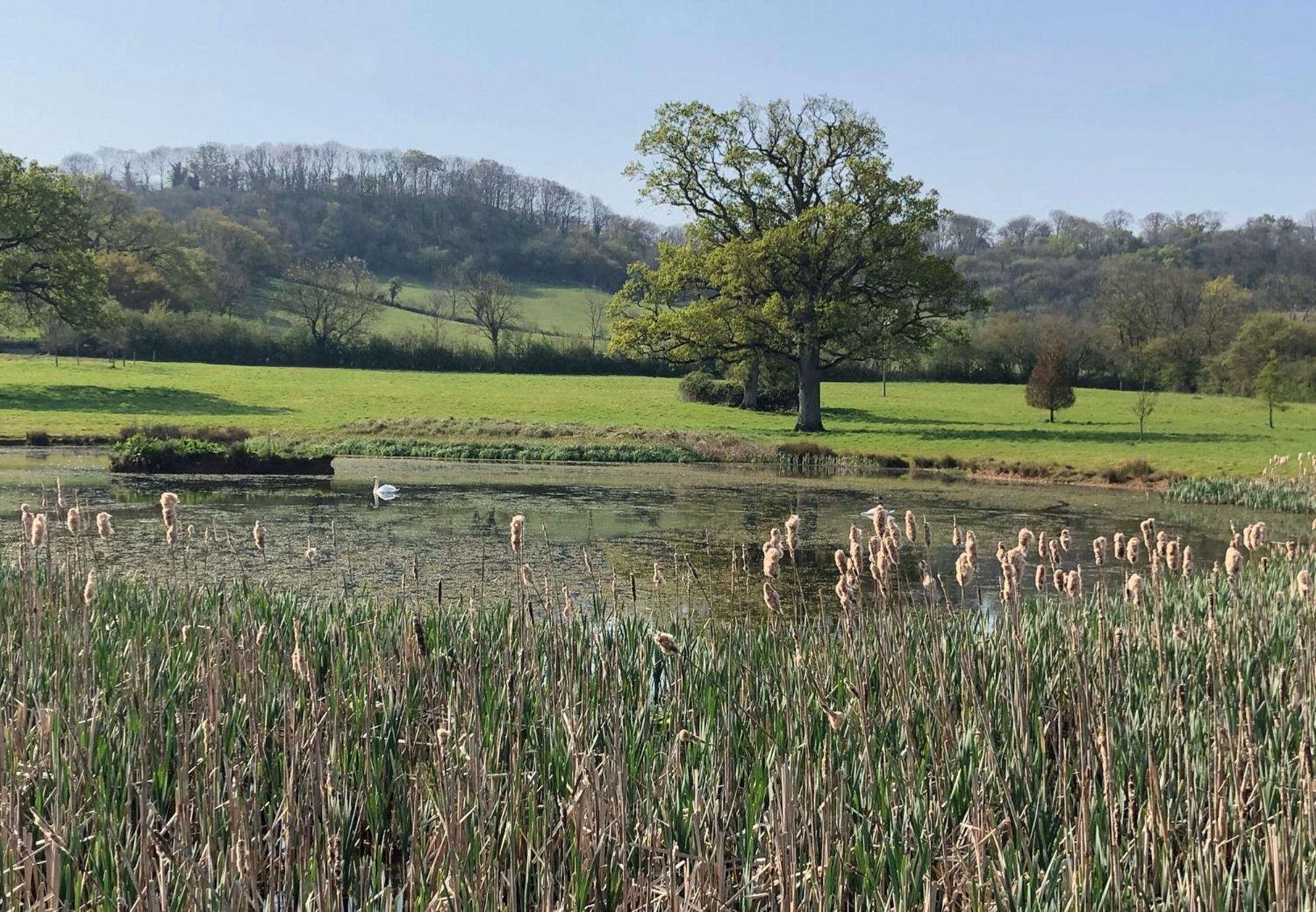 Luxury Barn Conversion Wells Luaran gambar